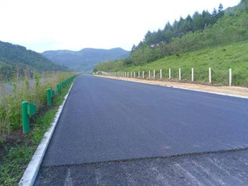 Overview Of Rubber Paving Machine: